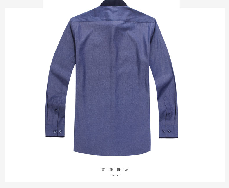 Fabulous Long Sleeve Mandarin Collar Non Iron Shirt Chinese Shirts